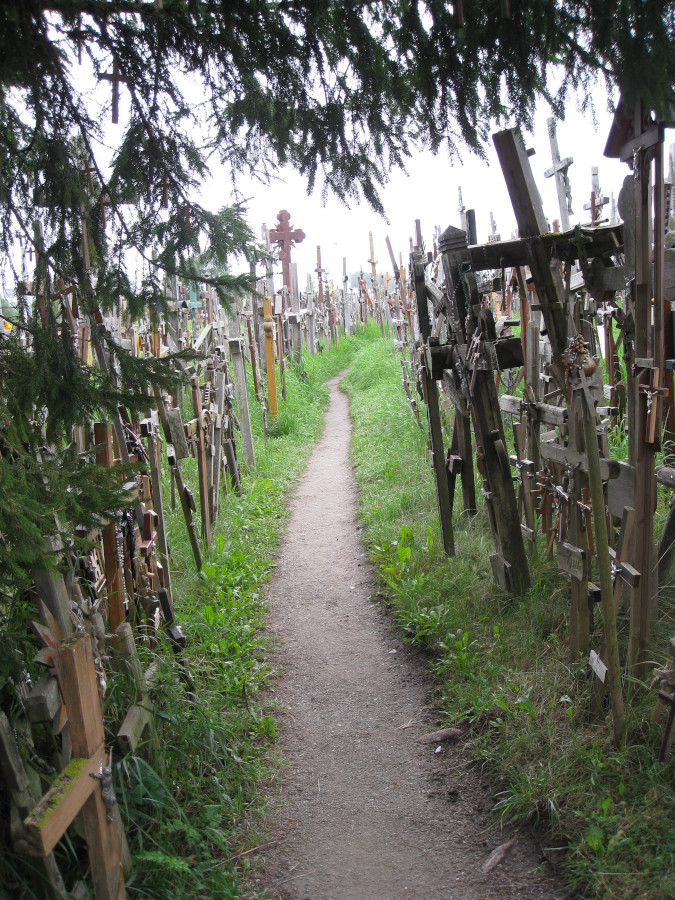 Maxwell Fazio's "Hill of Crosses II"