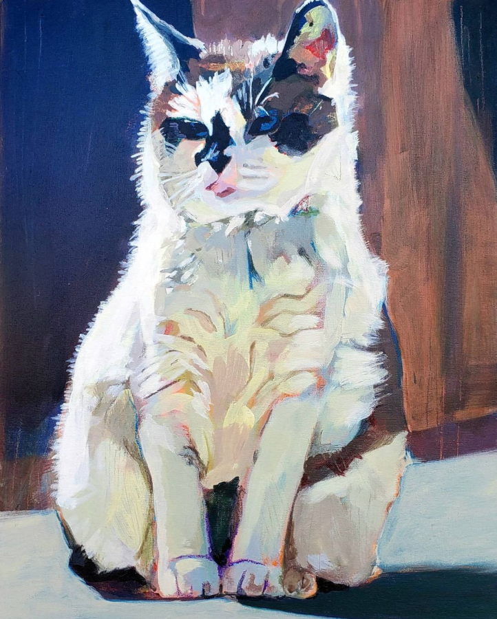 Lowki Sapfoot's "Mewsic"