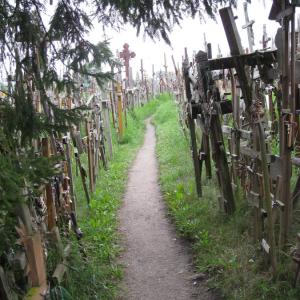 Maxwell Fazio's "Hill of Crosses II"