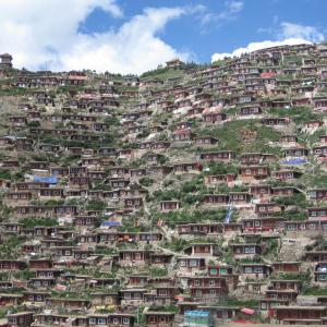 Maxwell Fazio's "Lharong Monastery II"