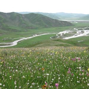 Maxwell Fazio's "Machu River I"