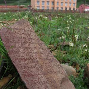 Maxwell Fazio's "Ohm Mani Pame Hum"