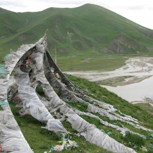 Maxwell Fazio's "Prayer Flags"